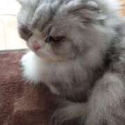 ヒメ日記 2025/04/13 10:24 投稿 よしえ 池袋おかあさん