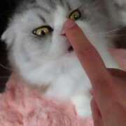 ヒメ日記 2025/04/20 11:04 投稿 よしえ 池袋おかあさん