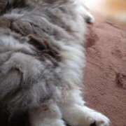 ヒメ日記 2025/04/27 11:24 投稿 よしえ 池袋おかあさん