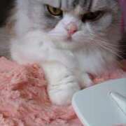 ヒメ日記 2025/04/29 12:05 投稿 よしえ 池袋おかあさん