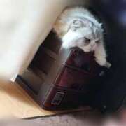 ヒメ日記 2025/05/25 11:04 投稿 よしえ 池袋おかあさん