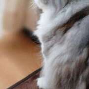 ヒメ日記 2025/06/01 09:46 投稿 よしえ 池袋おかあさん