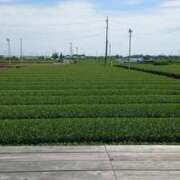 ヒメ日記 2025/06/06 23:34 投稿 よしえ 池袋おかあさん