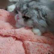 ヒメ日記 2025/06/08 20:34 投稿 よしえ 池袋おかあさん