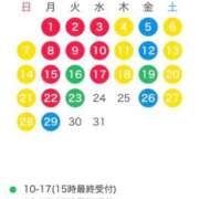 ヒメ日記 2025/11/25 14:59 投稿 美波 夕月