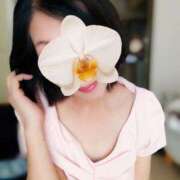 ヒメ日記 2025/07/31 11:30 投稿 浅倉こまち 五十路マダム静岡店（カサブランカG）