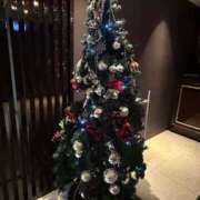 ヒメ日記 2024/12/19 17:30 投稿 まりさ 紳士な僕はふんわり彼女の調教師