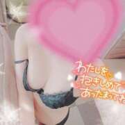 ヒメ日記 2025/02/03 18:31 投稿 まりさ 紳士な僕はふんわり彼女の調教師