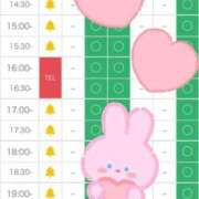 ヒメ日記 2025/03/16 12:50 投稿 まりさ 紳士な僕はふんわり彼女の調教師