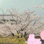 ヒメ日記 2025/04/10 12:40 投稿 まりさ 紳士な僕はふんわり彼女の調教師