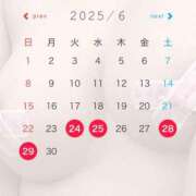 ヒメ日記 2025/06/18 18:02 投稿 まりさ 紳士な僕はふんわり彼女の調教師