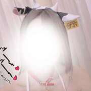 ヒメ日記 2025/08/10 10:41 投稿 まりさ 紳士な僕はふんわり彼女の調教師