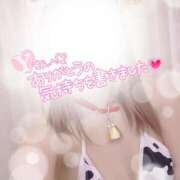 ヒメ日記 2025/08/24 10:41 投稿 まりさ 紳士な僕はふんわり彼女の調教師