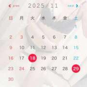 ヒメ日記 2025/11/15 18:02 投稿 まりさ 紳士な僕はふんわり彼女の調教師