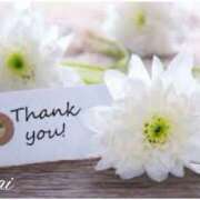 ヒメ日記 2025/02/05 20:25 投稿 まい 人妻日記2nd