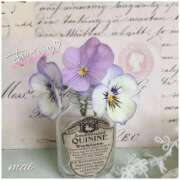 ヒメ日記 2025/05/27 21:45 投稿 まい 人妻日記2nd