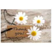 ヒメ日記 2025/11/08 21:10 投稿 まい 人妻日記2nd