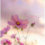 ヒメ日記 2025/11/22 20:55 投稿 まい 人妻日記2nd