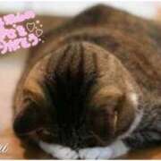 まい 今年の感謝❤️(⋆ᴗ͈ˬᴗ͈)” 人妻日記2nd