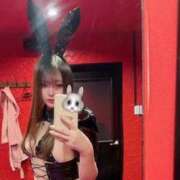 ベル 逆バニ🐰 バニーコレクション千葉栄町店