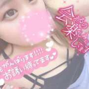 ヒメ日記 2025/03/22 14:41 投稿 わこ サンキュー沼津店（サンキューグループ）