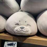 ヒメ日記 2025/06/11 11:45 投稿 もな ○コキクリニック～○○クリニックシリーズ～