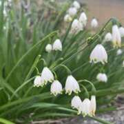 ヒメ日記 2025/06/26 11:13 投稿 もな ○コキクリニック～○○クリニックシリーズ～