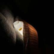 ヒメ日記 2025/12/17 11:01 投稿 もな ○コキクリニック～○○クリニックシリーズ～