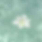 ヒメ日記 2026/06/28 20:31 投稿 もな ○コキクリニック～○○クリニックシリーズ～