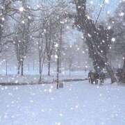 ヒメ日記 2025/03/03 15:38 投稿 るな 上野ハイブリッドマッサージ