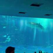 ヒメ日記 2025/03/23 17:38 投稿 るな 上野ハイブリッドマッサージ