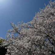 ヒメ日記 2025/04/09 13:28 投稿 るな 上野ハイブリッドマッサージ