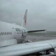 ヒメ日記 2025/10/11 13:28 投稿 るな 上野ハイブリッドマッサージ