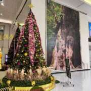 ヒメ日記 2025/12/02 21:19 投稿 るな 上野ハイブリッドマッサージ