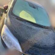 ヒメ日記 2026/01/08 09:48 投稿 るな 上野ハイブリッドマッサージ