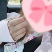 ヒメ日記 2025/03/31 12:08 投稿 るな 品川ハイブリッドマッサージ