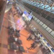 ヒメ日記 2025/04/23 07:38 投稿 るな 品川ハイブリッドマッサージ