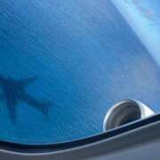 ヒメ日記 2025/07/31 13:10 投稿 るな 品川ハイブリッドマッサージ