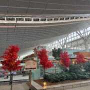 ヒメ日記 2025/11/01 12:48 投稿 るな 品川ハイブリッドマッサージ