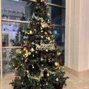 ヒメ日記 2025/12/21 08:08 投稿 るな 品川ハイブリッドマッサージ