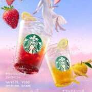 ヒメ日記 2026/04/21 22:18 投稿 るな 品川ハイブリッドマッサージ