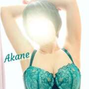 ヒメ日記 2025/03/11 23:50 投稿 茜音（あかね） 伊勢崎回春性感SPA