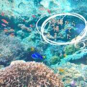 ヒメ日記 2025/03/17 19:52 投稿 茜音（あかね） 伊勢崎回春性感SPA