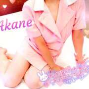 ヒメ日記 2025/03/18 07:57 投稿 茜音（あかね） 伊勢崎回春性感SPA