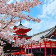 ヒメ日記 2025/04/08 18:36 投稿 茜音（あかね） 伊勢崎回春性感SPA