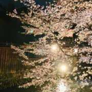 ヒメ日記 2025/04/21 22:00 投稿 茜音（あかね） 伊勢崎回春性感SPA