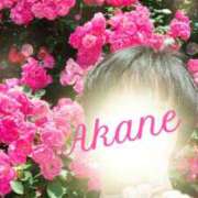 ヒメ日記 2025/05/28 21:57 投稿 茜音（あかね） 伊勢崎回春性感SPA