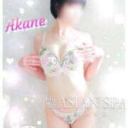 ヒメ日記 2025/06/22 13:15 投稿 茜音（あかね） 伊勢崎回春性感SPA