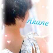 ヒメ日記 2025/08/16 11:40 投稿 茜音（あかね） 伊勢崎回春性感SPA