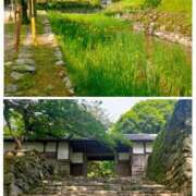 ヒメ日記 2025/05/18 15:57 投稿 瀬戸ゆりか 五十路マダム 博多店